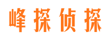 吴川市侦探调查公司